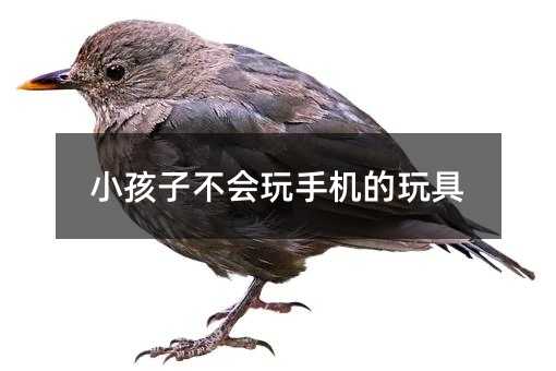 小孩子不会玩手机的玩具