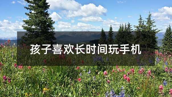 孩子喜欢长时间玩手机