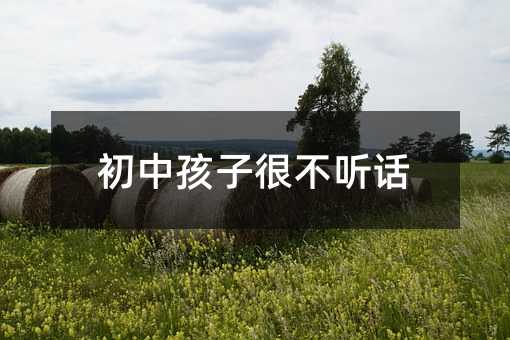 初中孩子很不听话