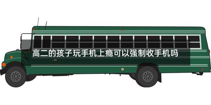 高二的孩子玩手机上瘾可以强制收手机吗
