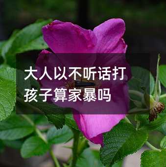 大人以不听话打孩子算家暴吗