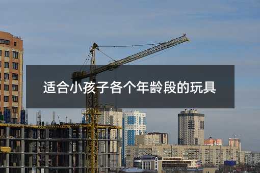 适合小孩子各个年龄段的玩具