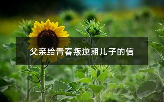 父亲给青春叛逆期儿子的信