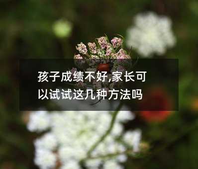 ӳɼ,ҳ⼸ַ