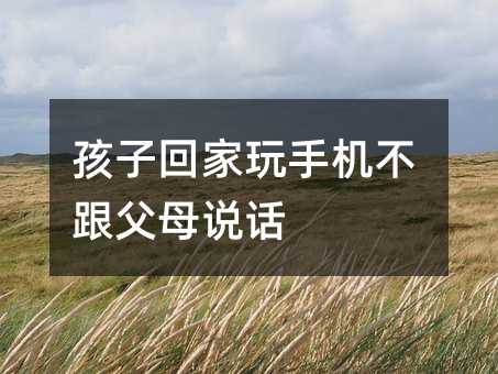 孩子回家玩手机不跟父母说话