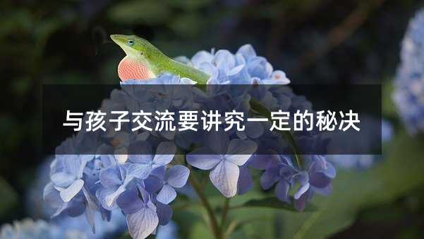 与孩子交流要讲究一定的秘决