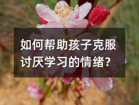 如何帮助孩子克服讨厌学习的情绪?