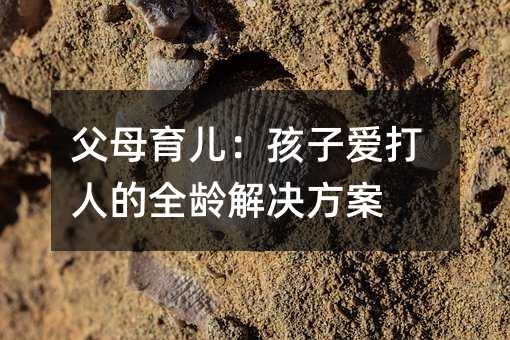 爸爸妈妈婴幼儿教育：孩子爱打人的全龄解决方法