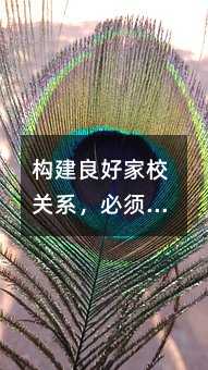 构建良好家校关系,必须对送礼风说不