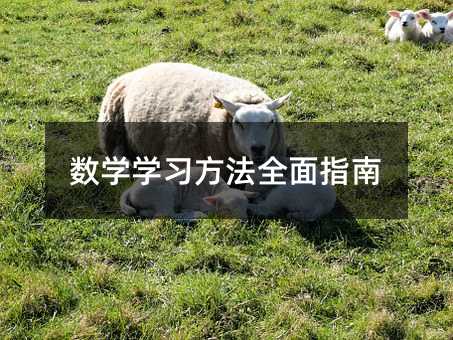 数学学习方法全面指南