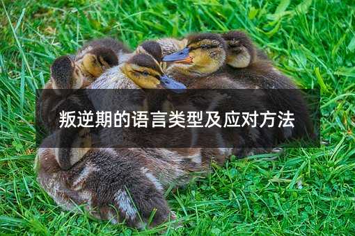 叛逆期的语言类型及应对方法