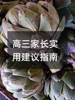 高三家长实用建议指南