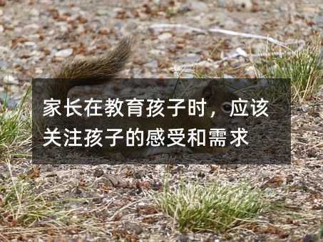家长在教育孩子时,应该关注孩子的感受和需求