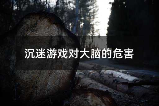 沉迷游戏对大脑的危害