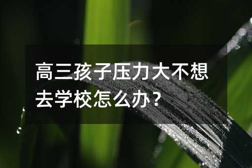 高三孩子压力大不想去学校怎么办?