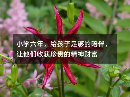 小学六年,给孩子足够的陪伴,让他们收获珍贵的精神财富