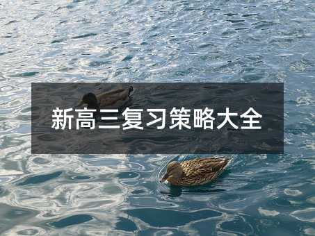 新高三复习策略大全