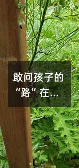 敢问孩子的“路”在何方？