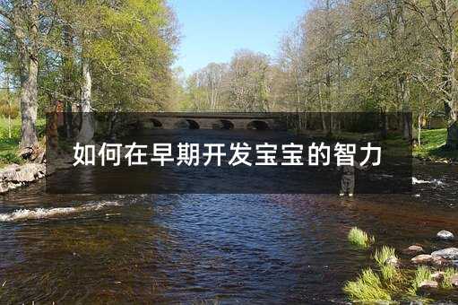 如何在早期开发宝宝的智力