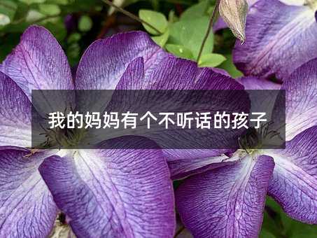 我的妈妈有个不听话的孩子