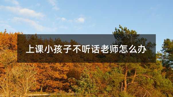 上课小孩子不听话老师怎么办