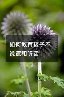 如何教育孩子不说谎和听话
