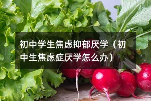 初中学生焦虑抑郁厌学(初中生焦虑症厌学怎么办)