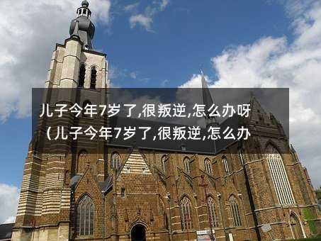 儿子今年7岁了,很叛逆,怎么办呀(儿子今年7岁了,很叛逆,怎么办啊)