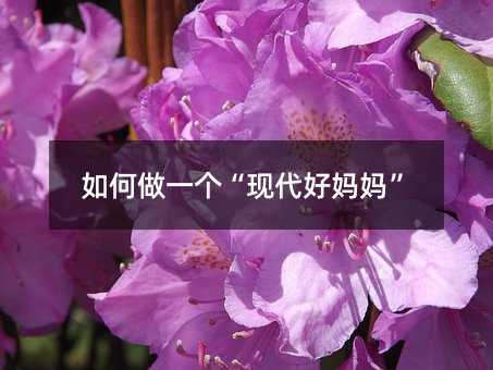 怎么样做一个“现代好母亲”