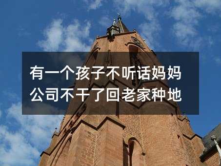 有一个孩子不听话妈妈公司不干了回老家种地