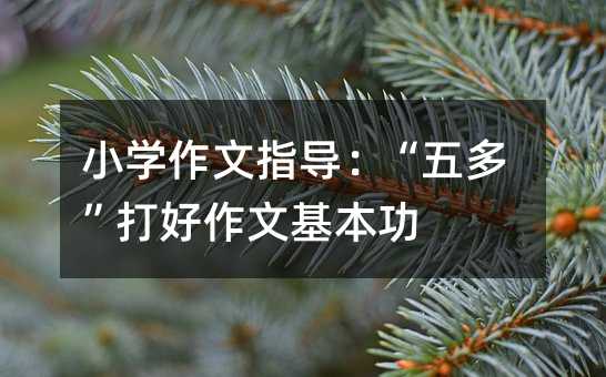 小学作文指导:“五多”打好作文基本功