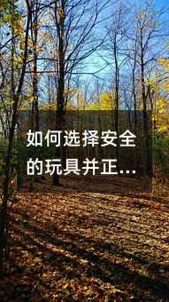 怎么样选择安全的玩具并正确教育孩子用