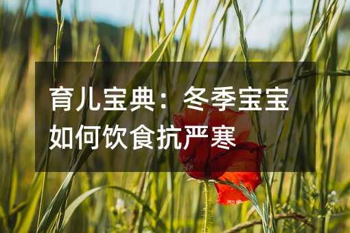 育儿宝典:冬季宝宝如何饮食抗严寒