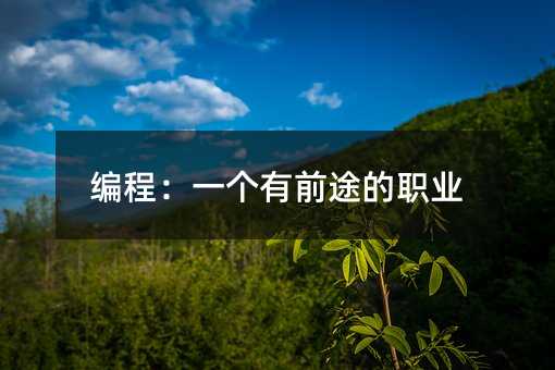编程:一个有前途的职业