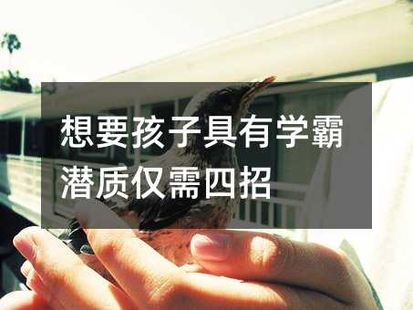 想要孩子具备学霸潜质只需要四招