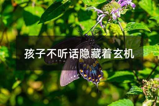 孩子不听话隐藏着玄机