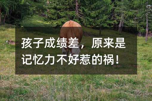 孩子成绩差,原来是记忆力不好惹的祸!