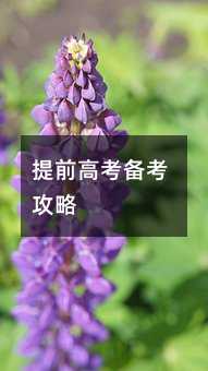 提前高考备考攻略