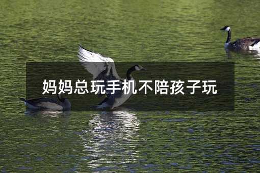 妈妈总玩手机不陪孩子玩