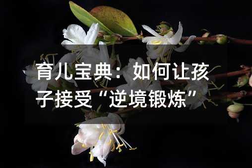 育儿宝典:如何让孩子接受“逆境锻炼”