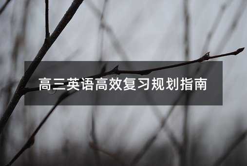高三英语高效复习规划指南