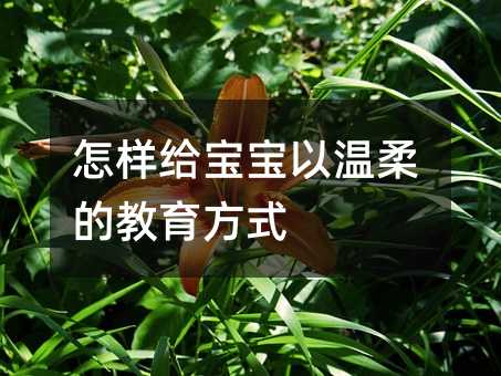 怎样给宝宝以温柔的教育方式