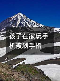 孩子在家玩手机被剁手指
