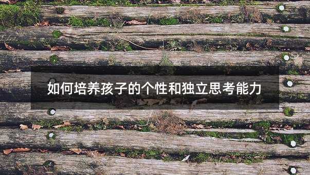 如何培养孩子的个性和独立思考能力