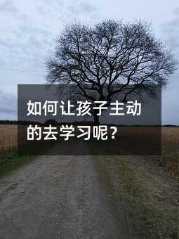如何让孩子主动的去学习呢?