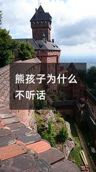 熊孩子为什么不听话