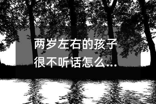 两岁左右的孩子很不听话怎么办_