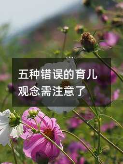 五种错误的育儿观念需注意了