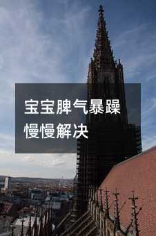宝宝脾气暴躁慢慢解决