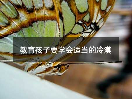 教育孩子要学会适当的冷漠